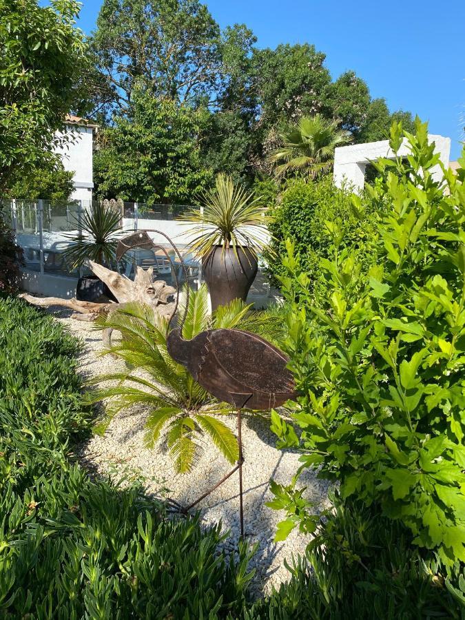 Jm Vacances Serignan Studio Exterior foto